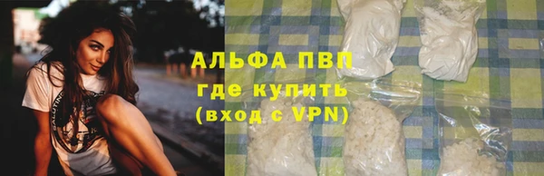 индика Алексеевка