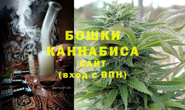 индика Алексеевка