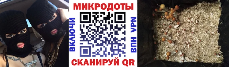 Псилоцибиновые грибы GOLDEN TEACHER  Динская 